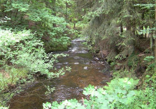 Reiki voor beginner deel 1