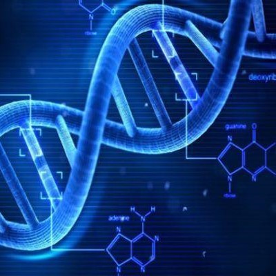 12 Strand DNA Activation