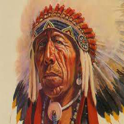 Black Elk Shamanic Healing Systeem