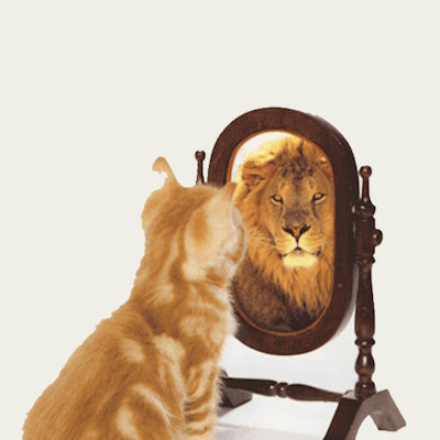 Building Self Esteem Reiki