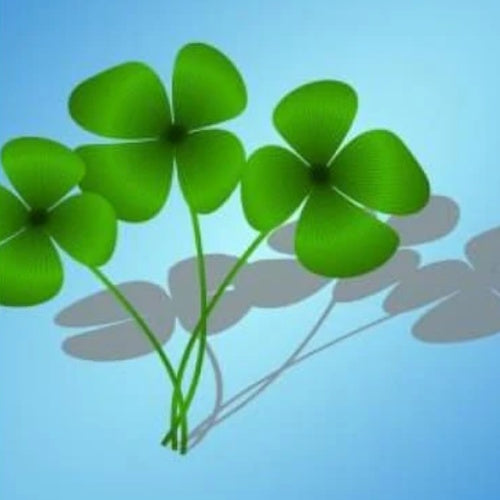 Essential Big Luck Protection