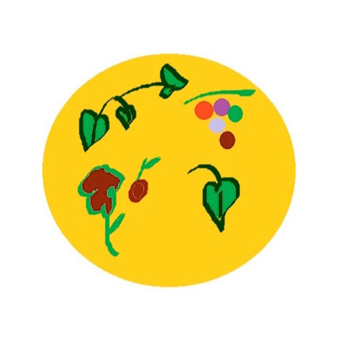 Magick Reiki Altijd Stromende Overvloed