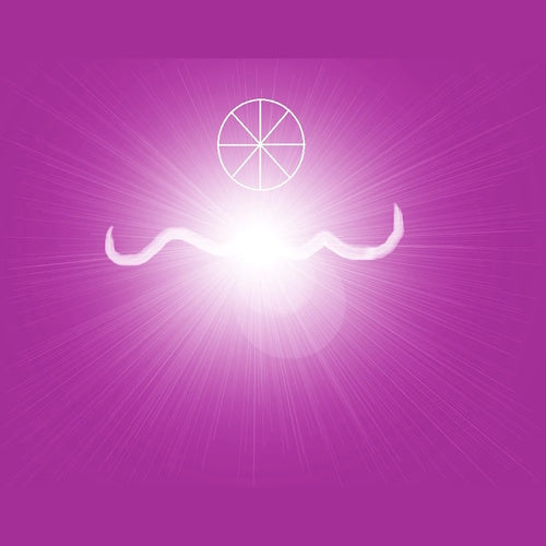 Stijgende Vibraties Reiki