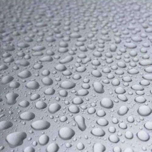 The Silver Rain
