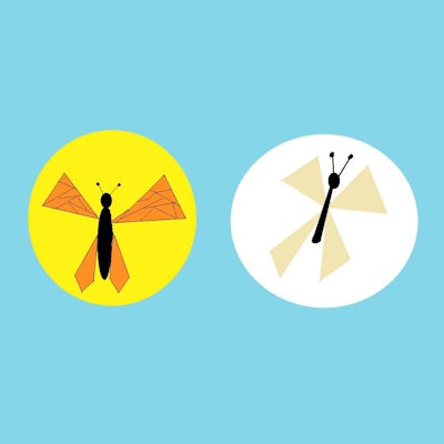 Vlinder en Mot Energie Reiki