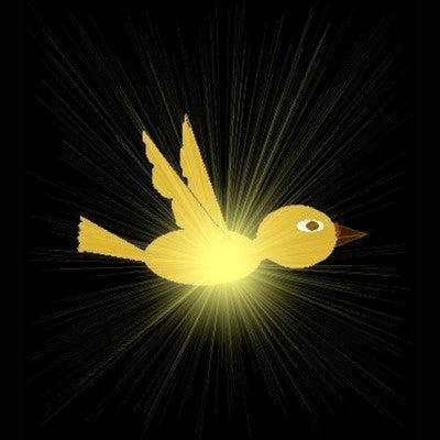 Gouden Duif Healing Reiki