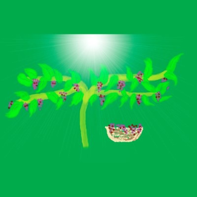 Overvloed Manifestatie