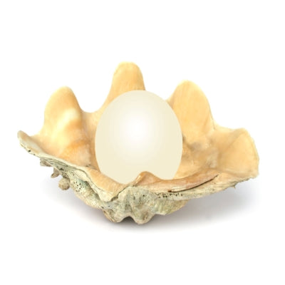 Enchanted Pearl Essence Energy