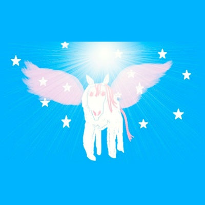 Sterrenlicht Pegasus Energie