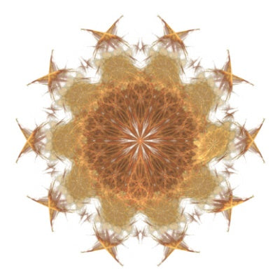 The Hotsuma Futomani System