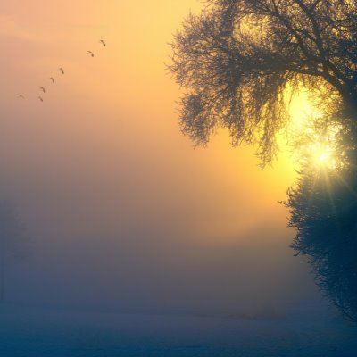 Vergeving vragen Empowerment