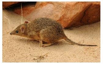 Buideldas Empowerment