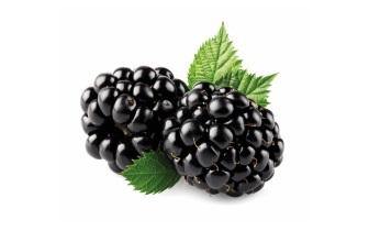 De helende Bomen en Struiken Serie : Braam