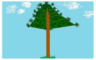 Magie & Overvloed van de Den en Ceder Empowerment