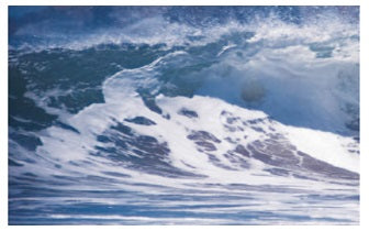 Dolphin White Wave Healing