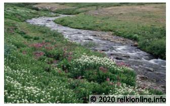 Energetische Uitlijning Inwijdingen 1-7