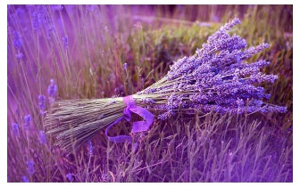 Faery Flora Energieën Empowerment