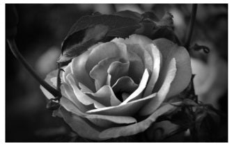 Geavanceerd Genezing Lichtwerk