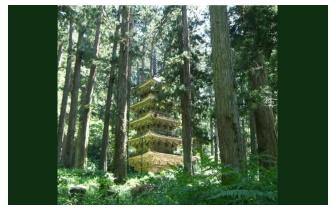 Grandmaster Ceder Tempel