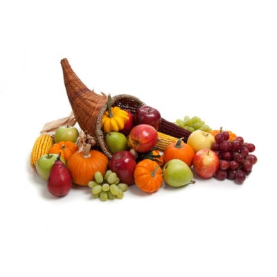 Hoorn des Overvloeds Reiki