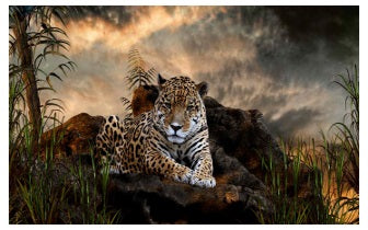 Spirit van de Jaguar