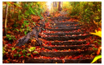 Kracht van Herfst Reiki Empowerment