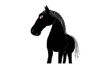 Kracht van het paard Empowerment