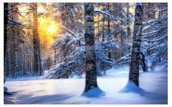 Kracht van Winter Reiki Empowerment