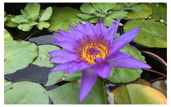 Kundalini Reiki Boosters 1-6