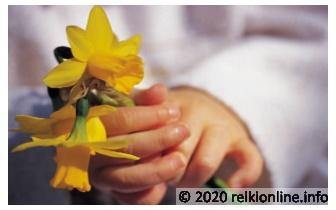 Levenspad Reiki Level 1-2