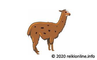 Pachamama Shaman Aura