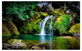 Natuur Reiki voor Kinderen