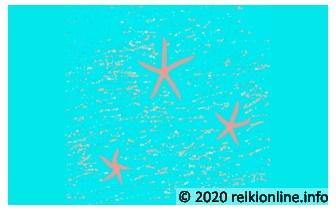 Sprits van de Zee - Zeester