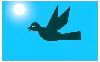 Vleugels van de Raaf