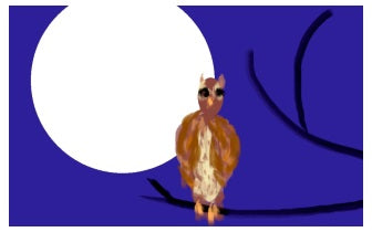 Wijsheid van de Uil Empowerment