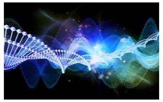 36 Strand DNA Activation