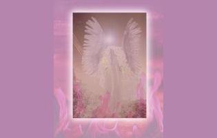Colours of Angels - Reiki Online