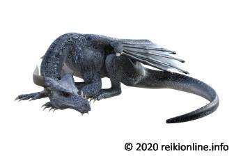 Draken inwijding pakket