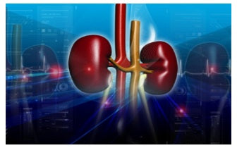 Kidneys and Bladder Care