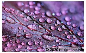 Purple Reiki