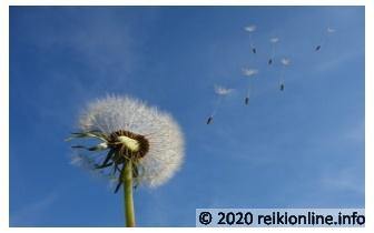 Sacred Breath Reiki