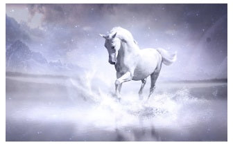 Spirit Steed Reiki Empowerment